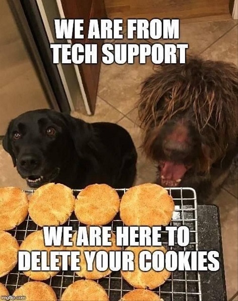 dog cookies william blair boulden.jpg